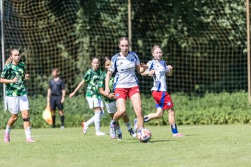Bild 177 - wBJ Hamburger SV - VfL Wolfsburg : Ergebnis: 5:1